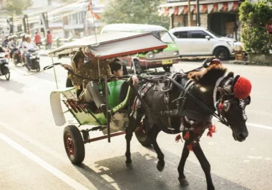 Explore Lampang
